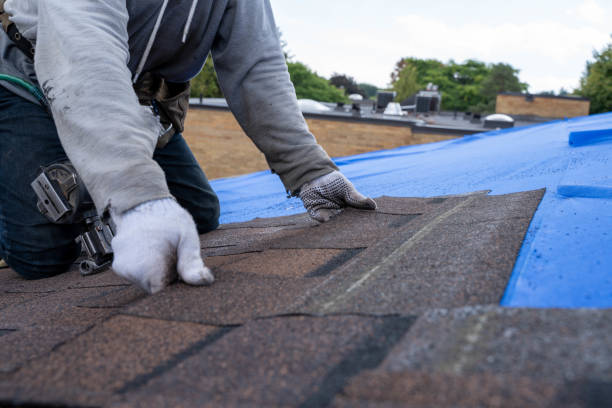 Best Storm Damage Roof Repair  in Romeovle, IL