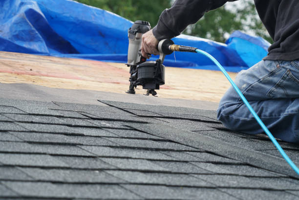 Best Flat Roof Repair Services  in Romeovle, IL