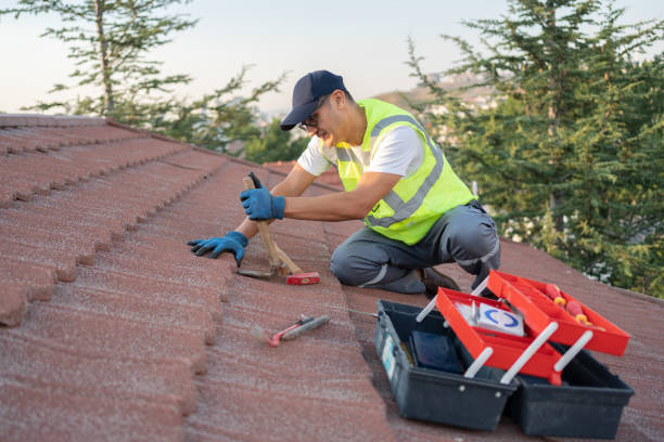 Quick and Trustworthy Emergency Roof Repair Services in Romeoville, IL