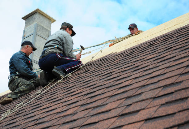 Best Roof Waterproofing Services  in Romeovle, IL