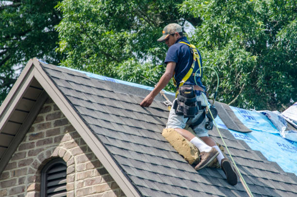 Best Local Roofing Companies  in Romeovle, IL